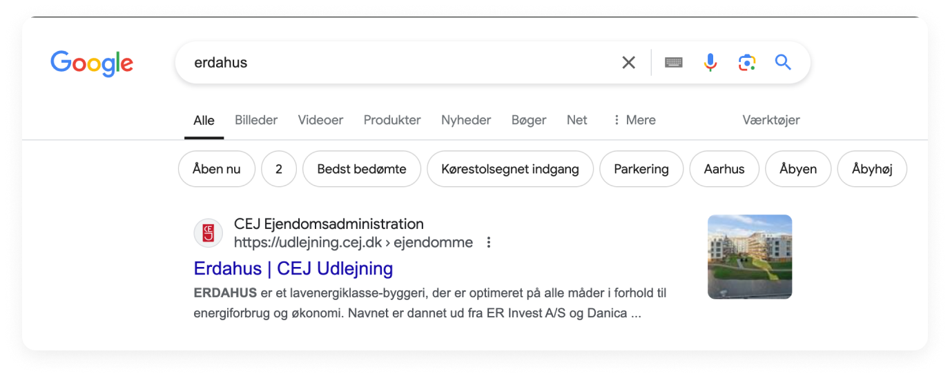 Google Søge resultater
